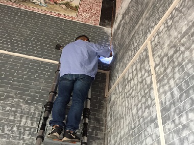 广州白蚁备案公司上门灭白蚁怎么收费