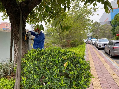 南沙杀灭白蚁中心城市园林中白蚁怎么防治